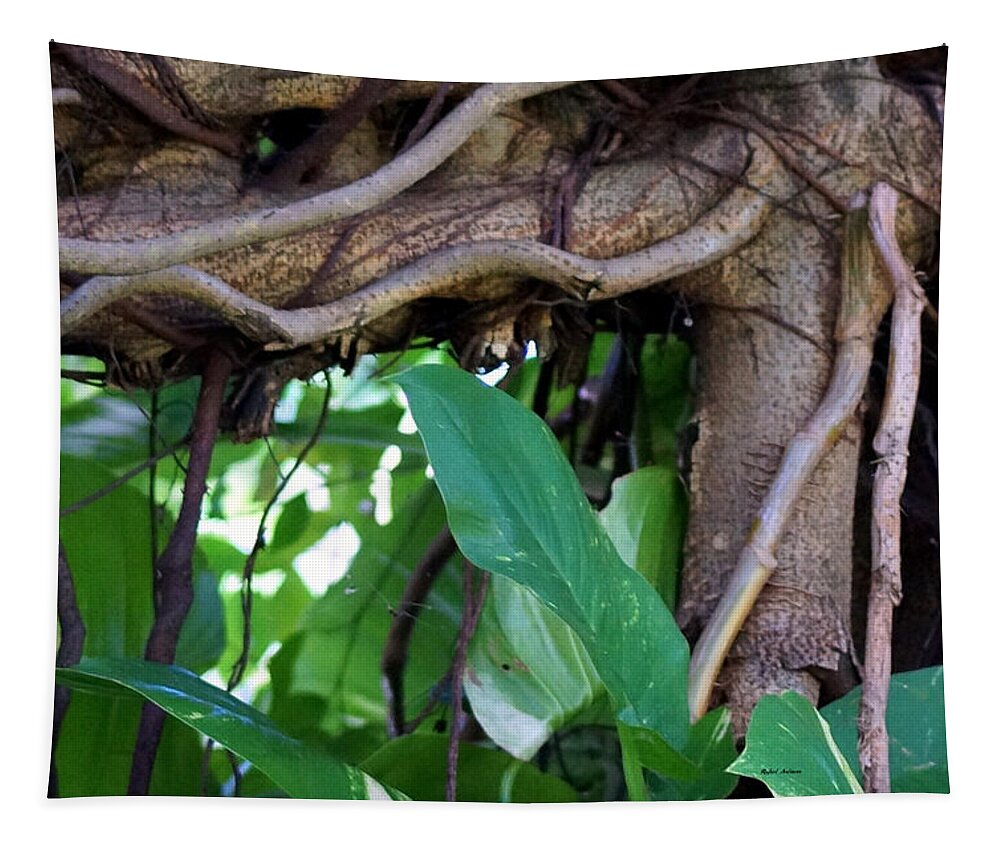 Tree Tapestry featuring the photograph Tree Branch by Rafael Salazar