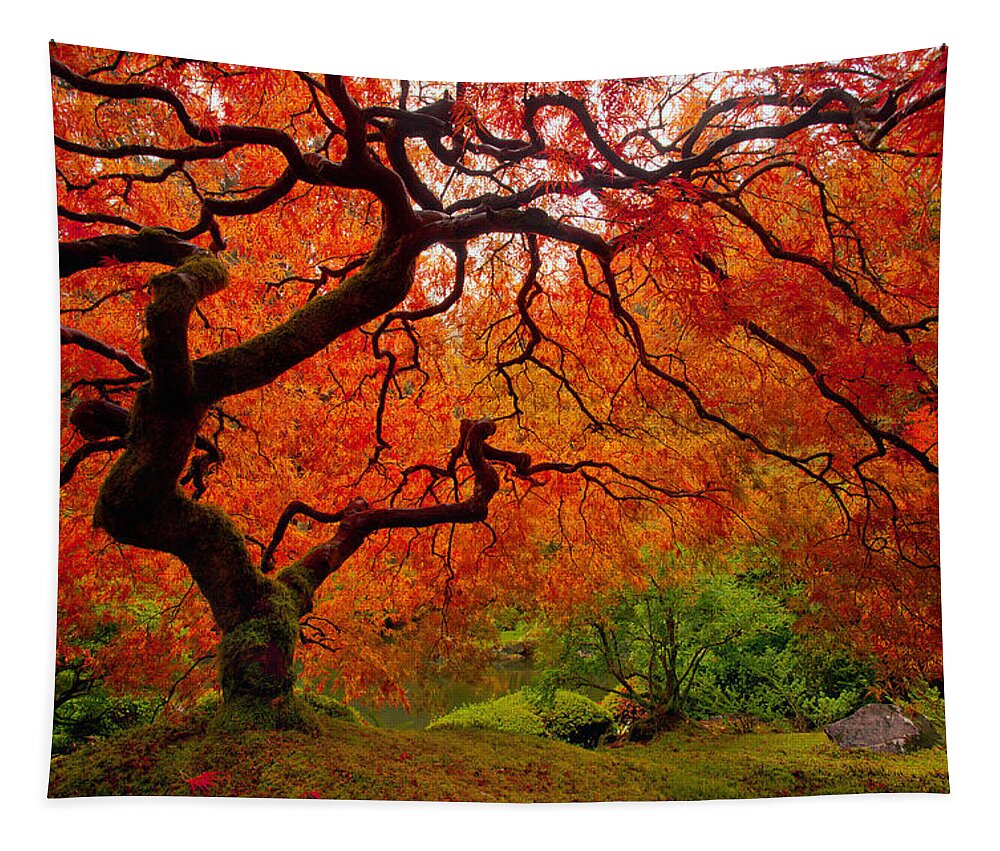 #faatoppicks Tapestry featuring the photograph Tree Fire by Darren White