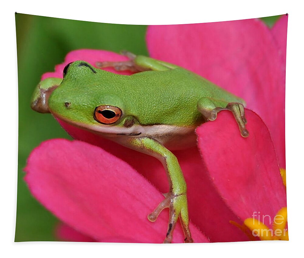 Frog Tapestry featuring the photograph Tree Frog On A Pink Flower by Kathy Baccari
