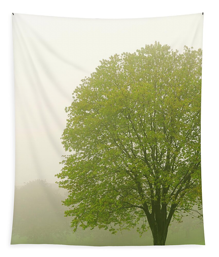 Fog Tapestry featuring the photograph Tree in fog by Elena Elisseeva