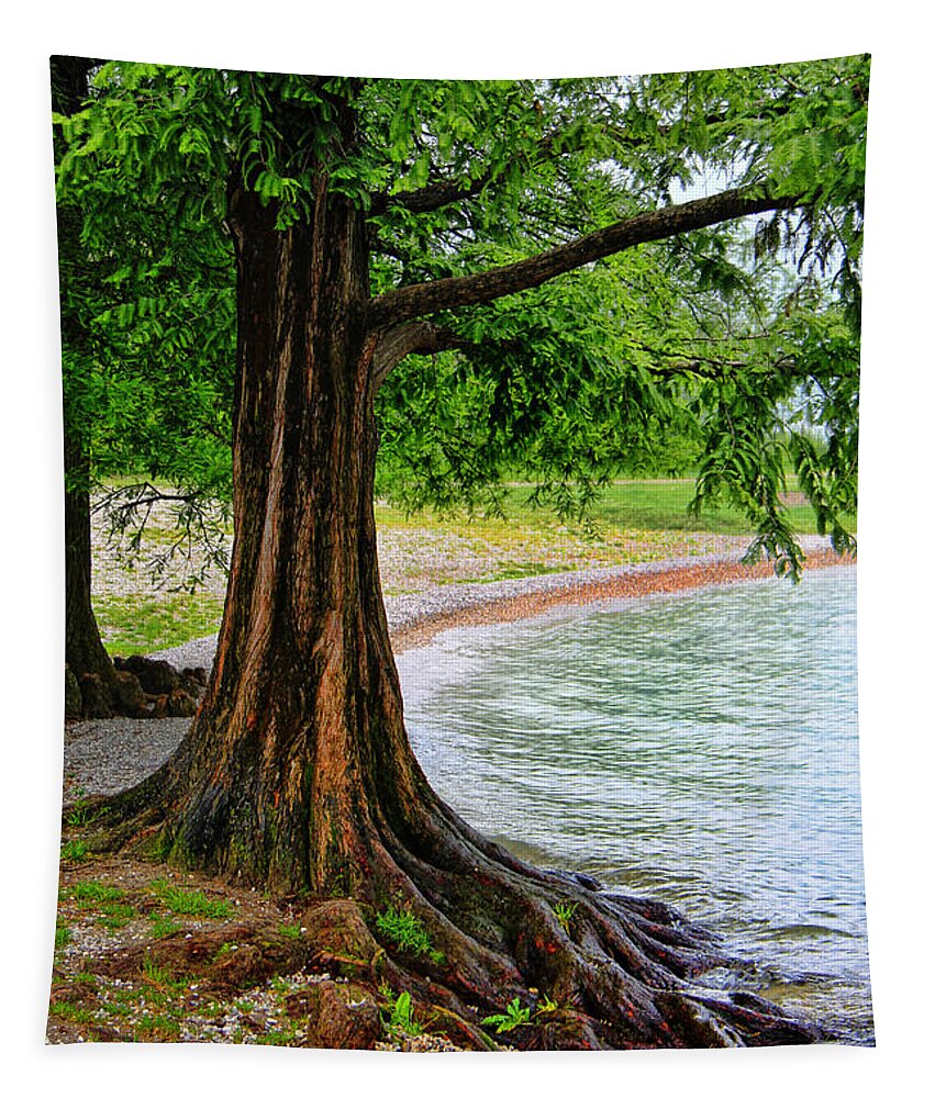 Tree In Paradise Tapestry featuring the photograph Tree in Paradise by Kasia Bitner