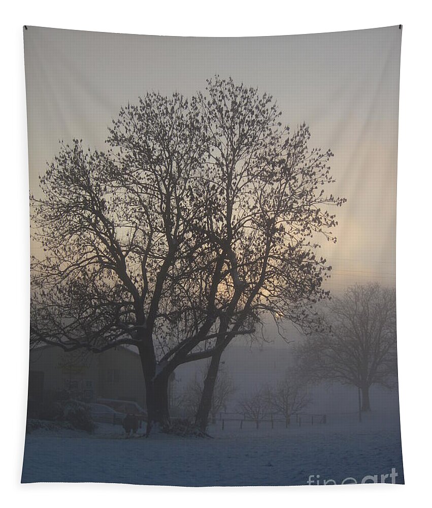 Tree Tapestry featuring the photograph Tree in the foggy winter landscape by Amanda Mohler