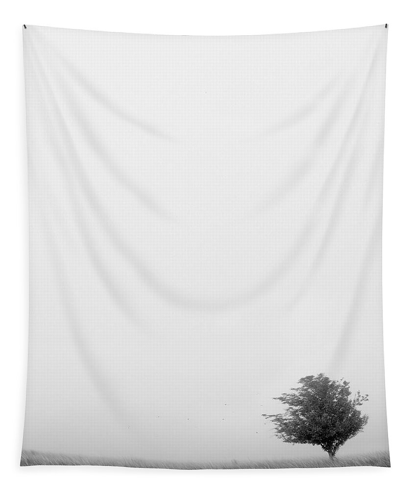 Landscape Tapestry featuring the photograph Tree in the Wind by Mike McGlothlen