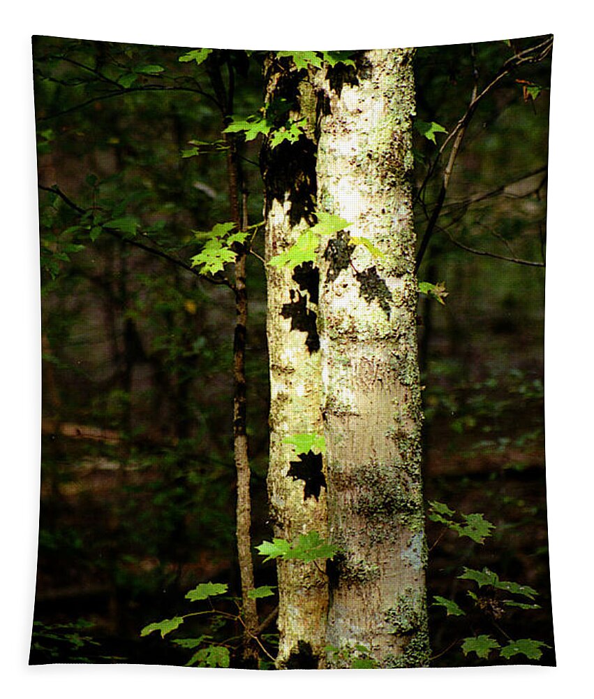 Tree Tapestry featuring the photograph Tree In The Woods by Pamela Critchlow