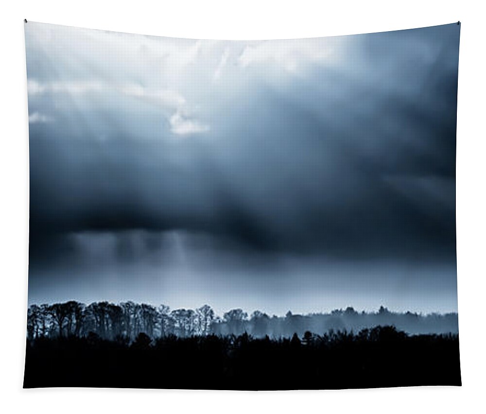 Landscape Tapestry featuring the photograph Tree lined landscape with sunrays by Simon Bratt