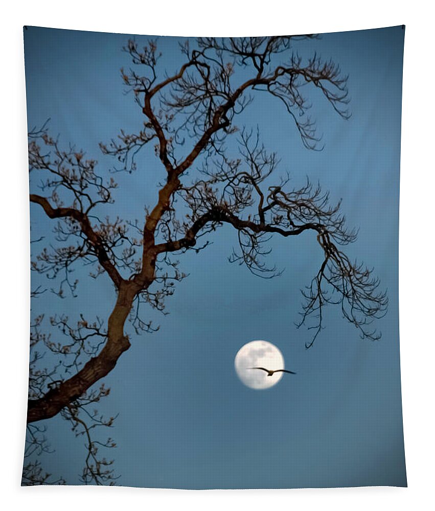 Gull Tapestry featuring the photograph Tree Moon Gull by Jerry Gammon