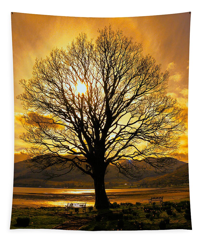 Tree Tapestry featuring the photograph Tree of Fire by Lynn Bolt