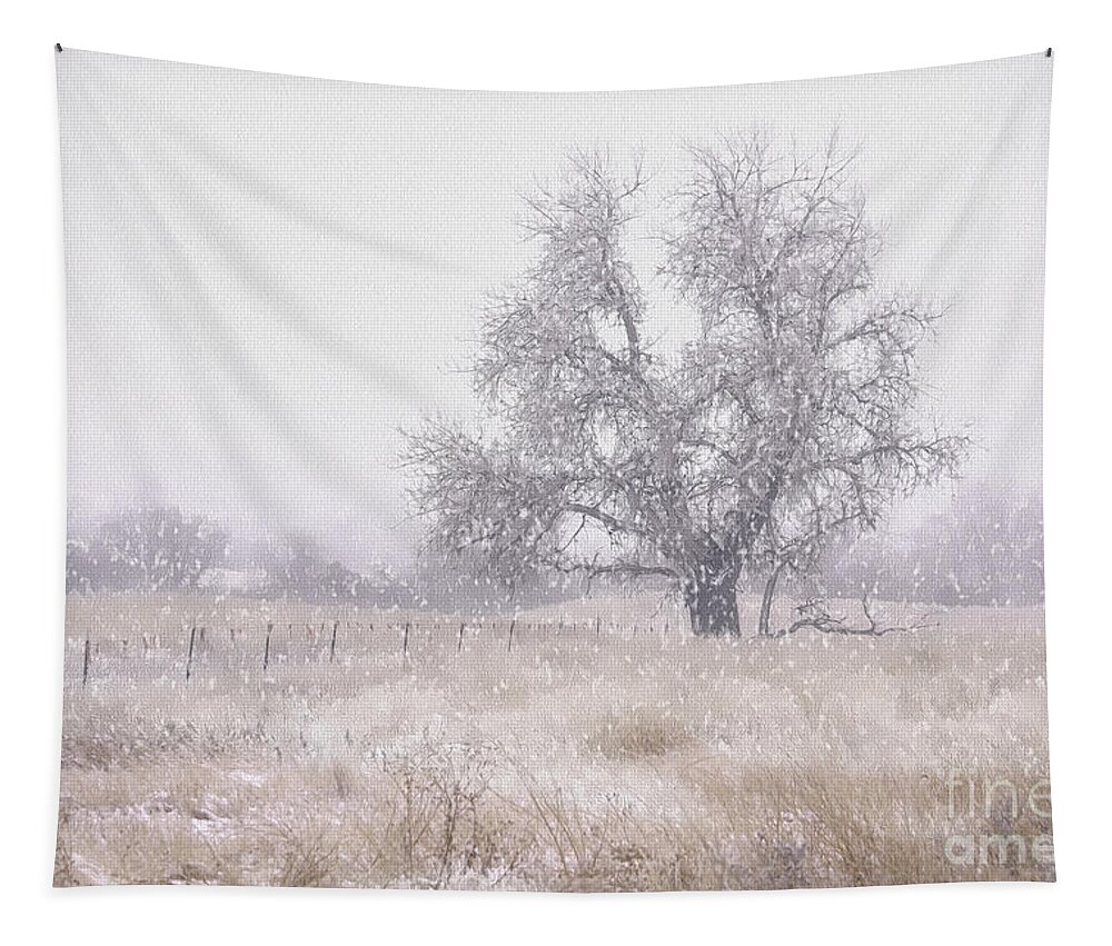 Winter Tapestry featuring the photograph Tree of Storm by Kristal Kraft