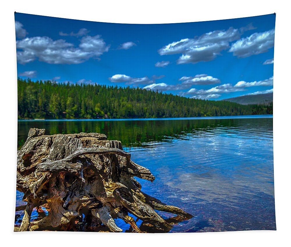 Tree Tapestry featuring the photograph Tree Stump by Thomas Nay