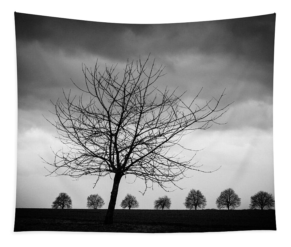 Tree Tapestry featuring the photograph Trees black and white by Matthias Hauser