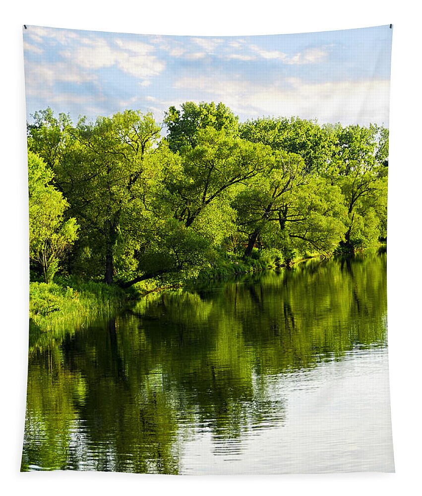Trees Tapestry featuring the photograph Trees reflecting in river by Elena Elisseeva