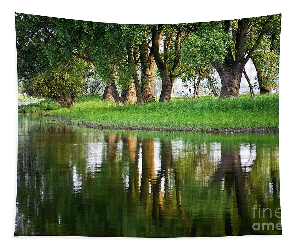 Water Tapestry featuring the photograph Trees Reflection on the Lake by Heiko Koehrer-Wagner