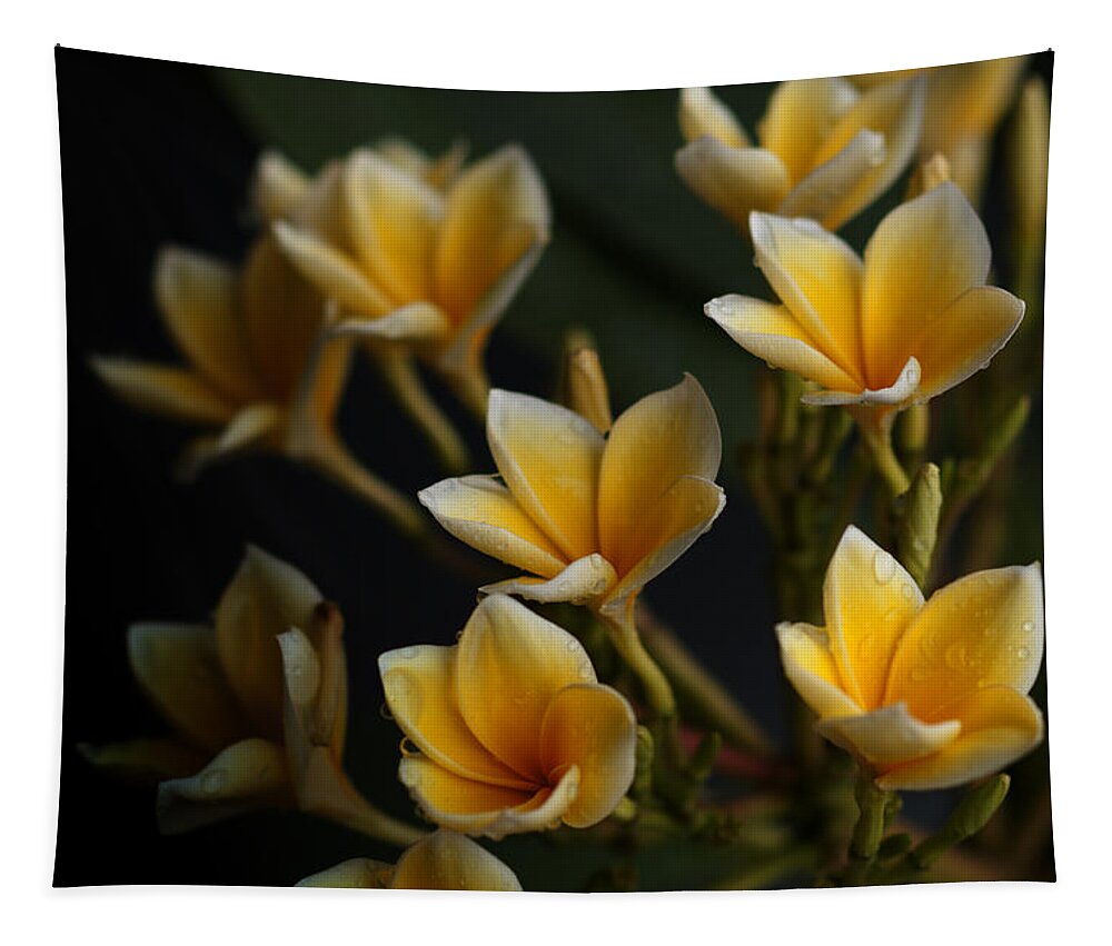 Flowers Tapestry featuring the photograph Tropic Welcome by Miguel Winterpacht