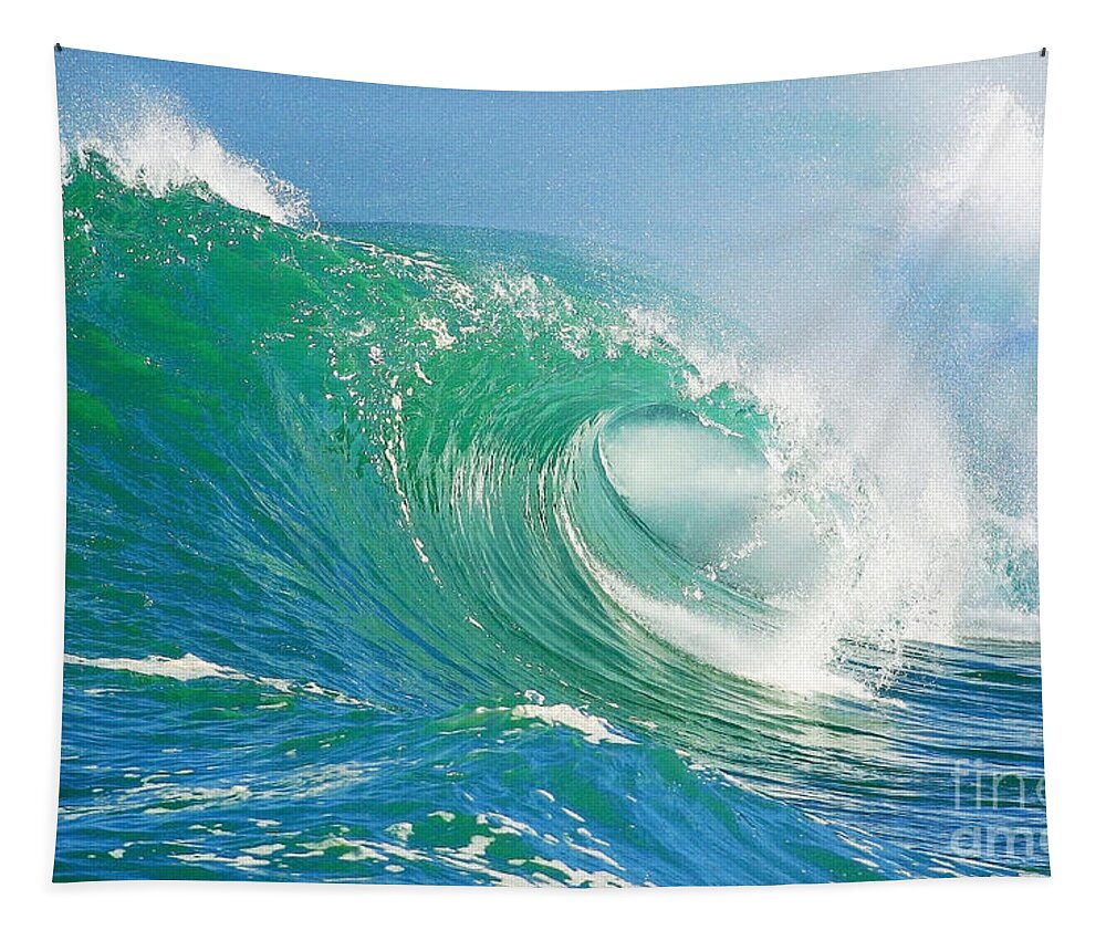 Wave Tapestry featuring the photograph Tubing Wave by Paul Topp