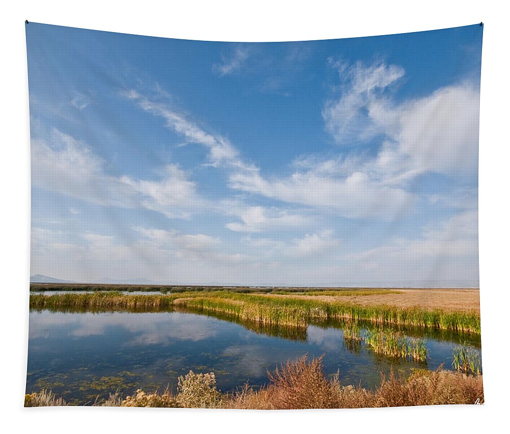 Beauty In Nature Tapestry featuring the photograph Tule Lake Marshland by Jeff Goulden