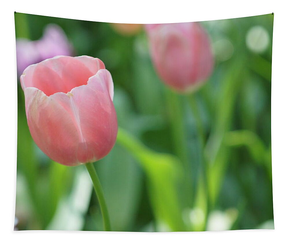 Flowers Tapestry featuring the photograph Tulip by Kathy Churchman