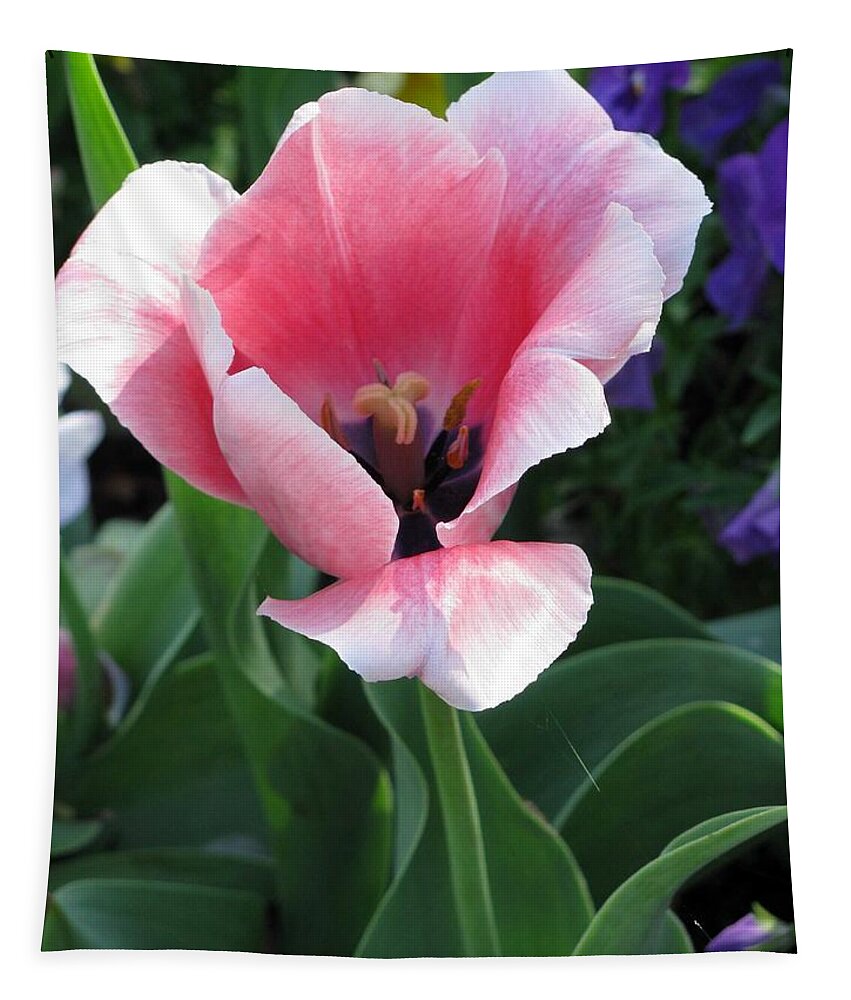 Tulip Tapestry featuring the photograph Tulips - Confidence 04 by Pamela Critchlow