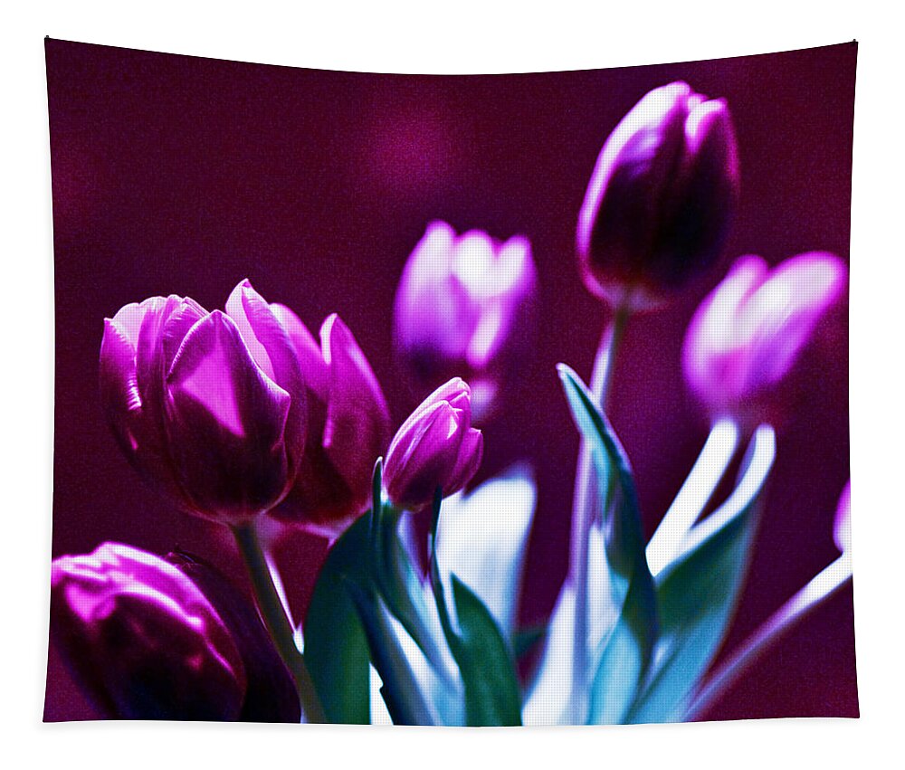 Purple Tulips Tapestry featuring the photograph Purple Tulips by Silva Wischeropp