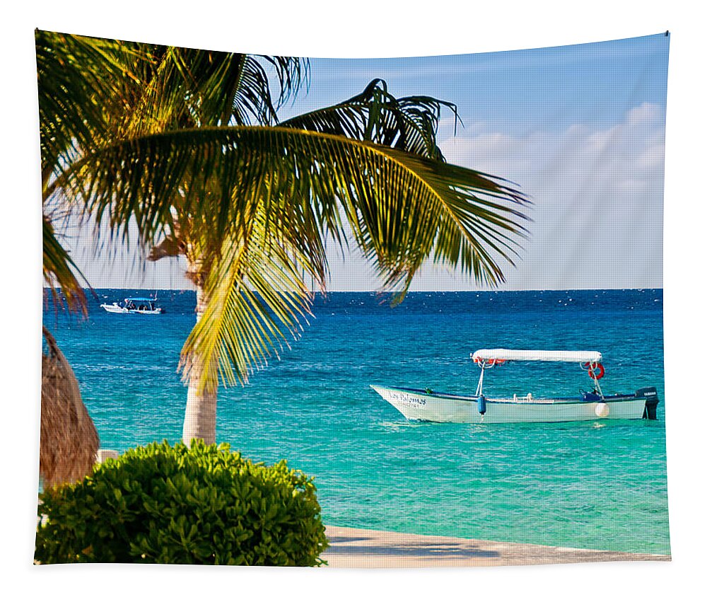 Cozumel Tapestry featuring the photograph Turquoise waters in Cozumel by Mitchell R Grosky