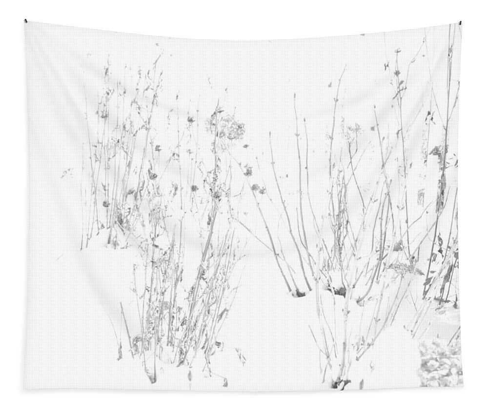 Black And White Image Tapestry featuring the photograph Weeds in Snow by Valerie Collins