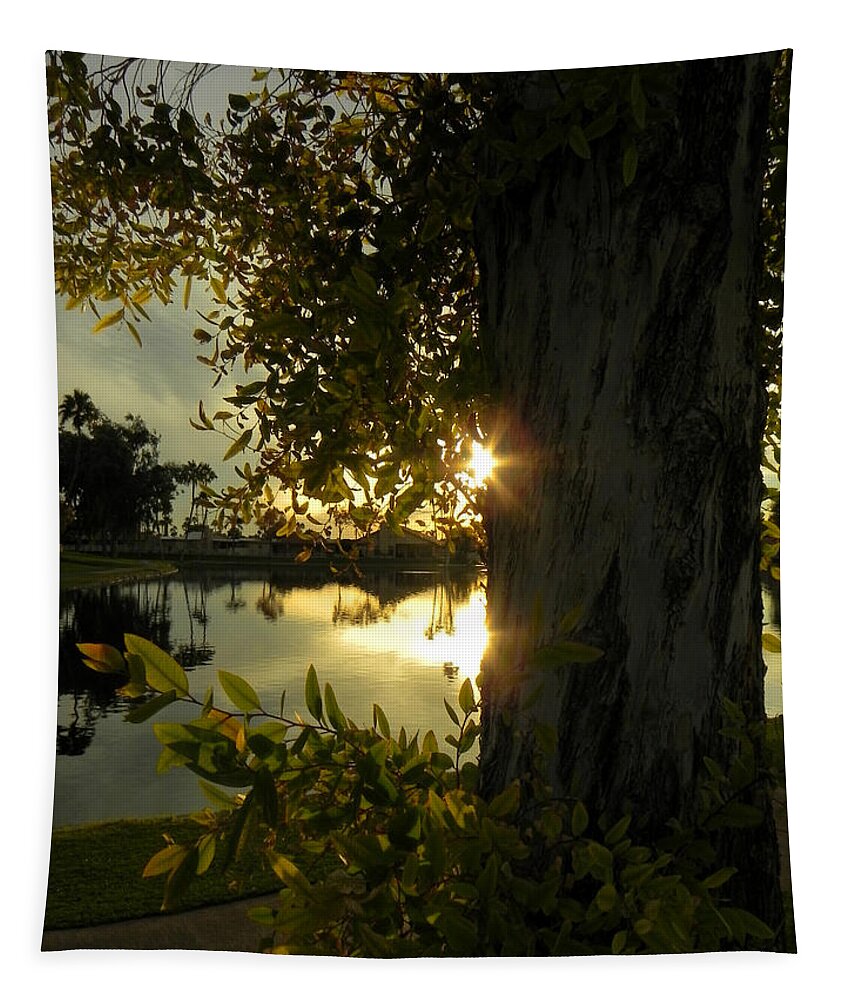 Tree Tapestry featuring the photograph Twilight Splendor by Deb Halloran