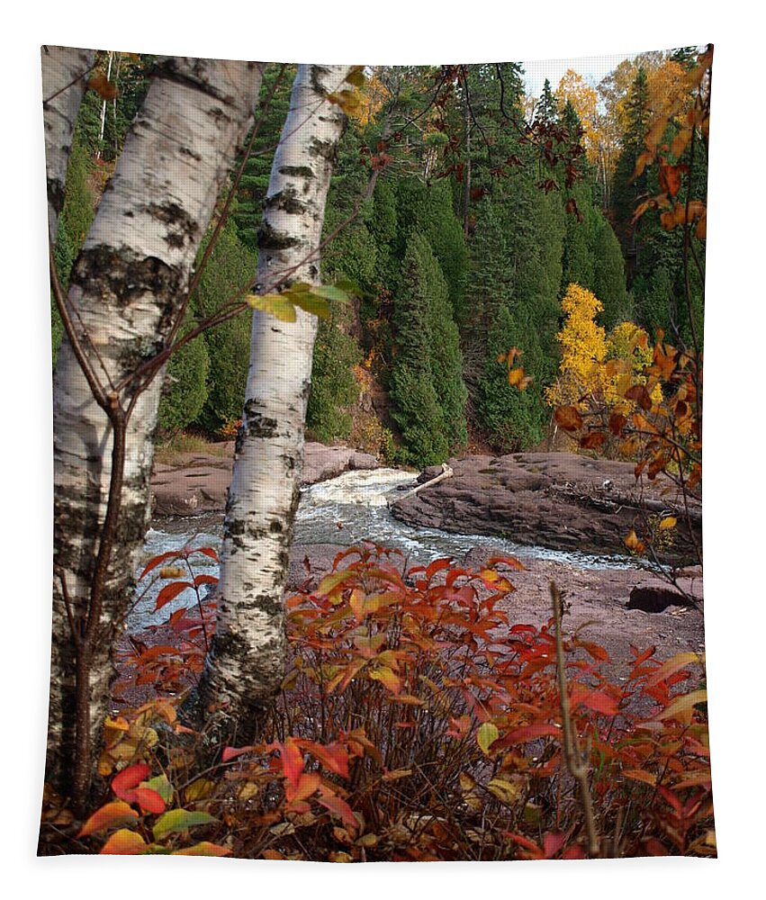 James Tapestry featuring the photograph Twin Aspens by James Peterson