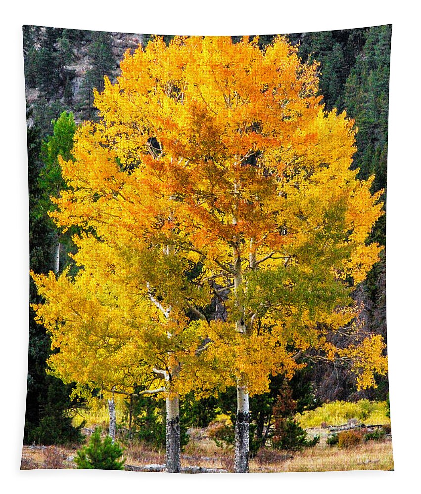 Fall Trees Tapestry featuring the photograph Twin Fall Trees by Juli Ellen
