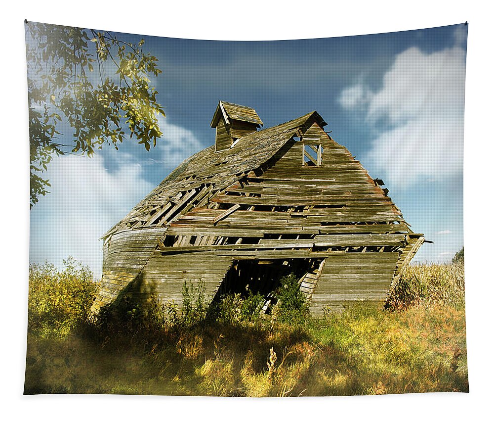 Barns Tapestry featuring the photograph Twisted by John Anderson