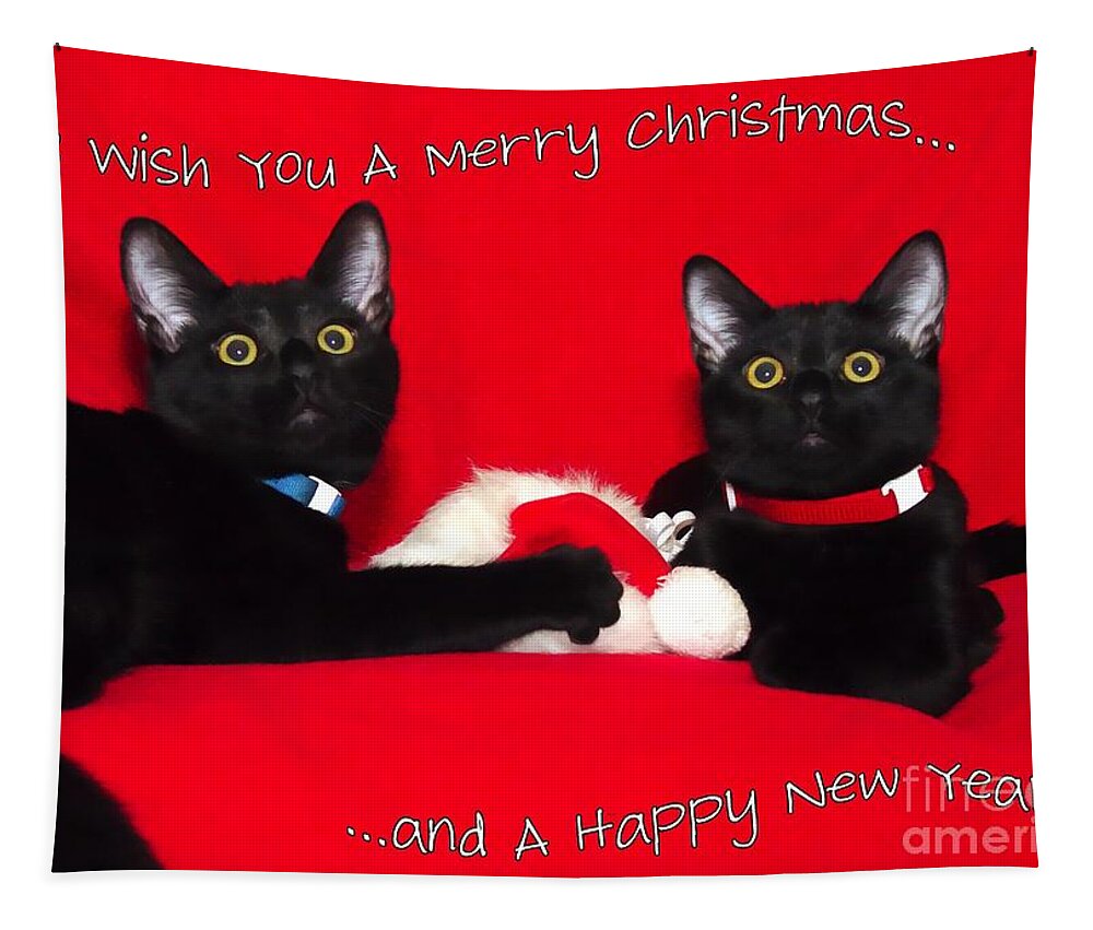Black Tapestry featuring the photograph two black cats Christmas by Peggy Hughes