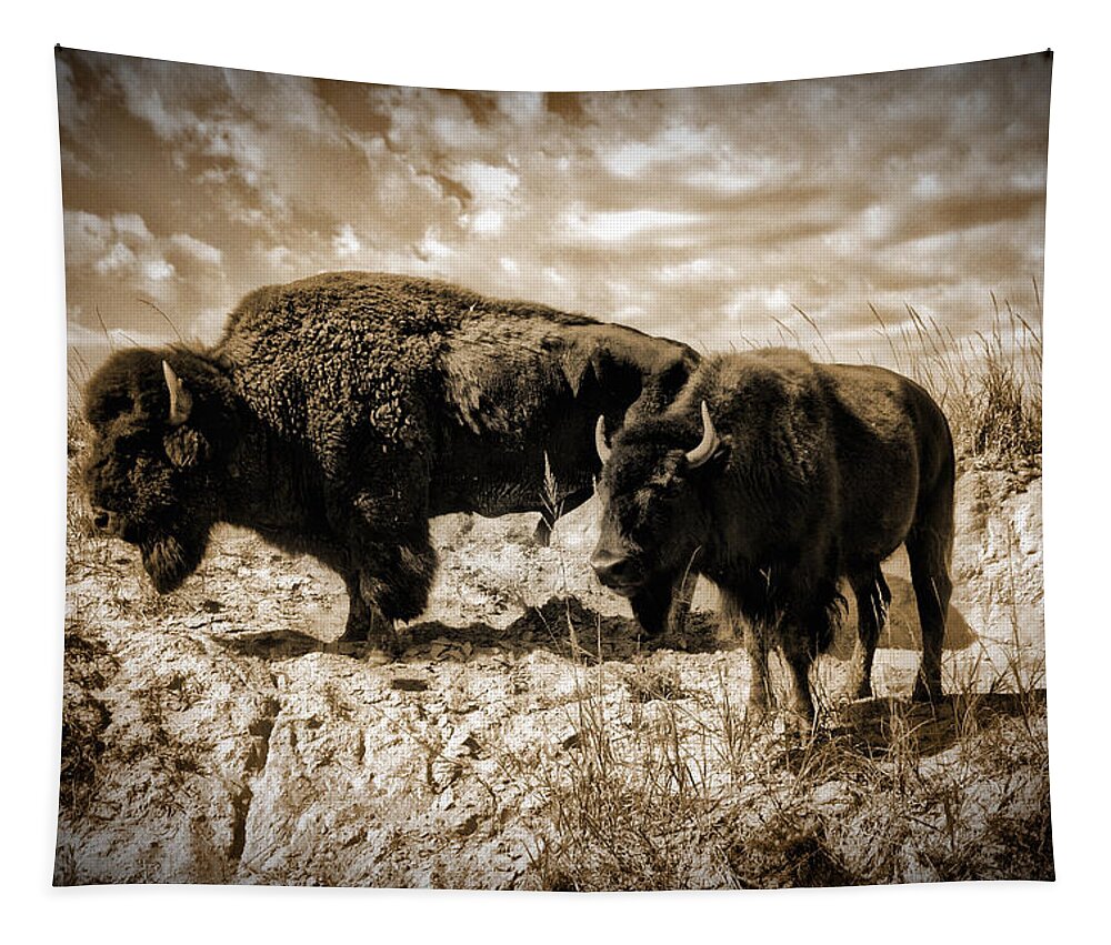 Photograph Tapestry featuring the photograph Two Buffalo by Richard Gehlbach