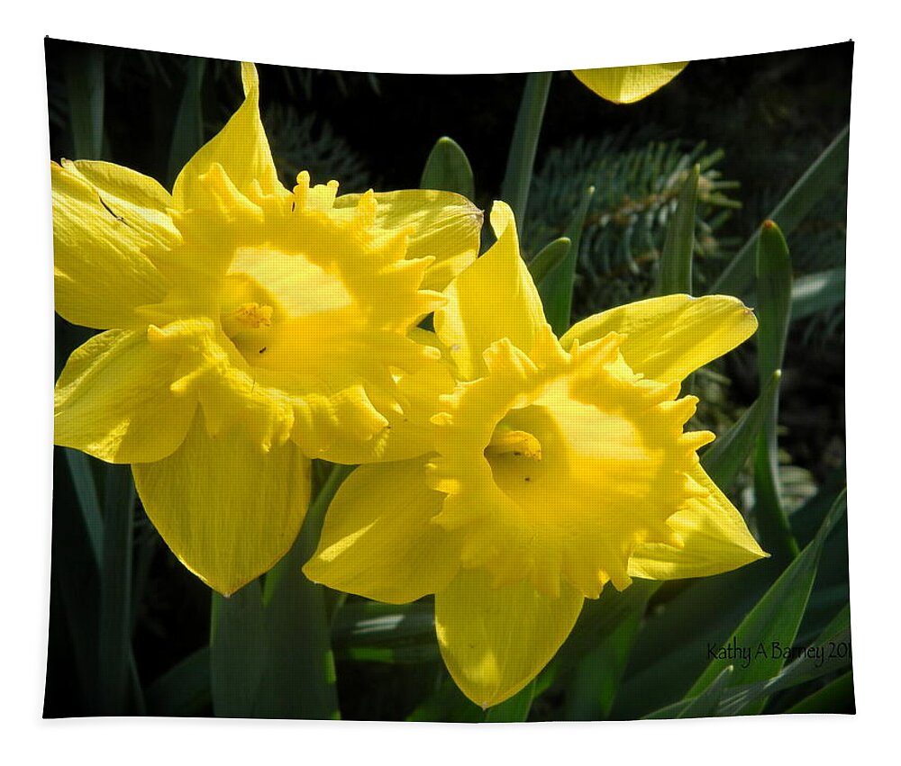 Daffodils Tapestry featuring the photograph Two Daffodils by Kathy Barney