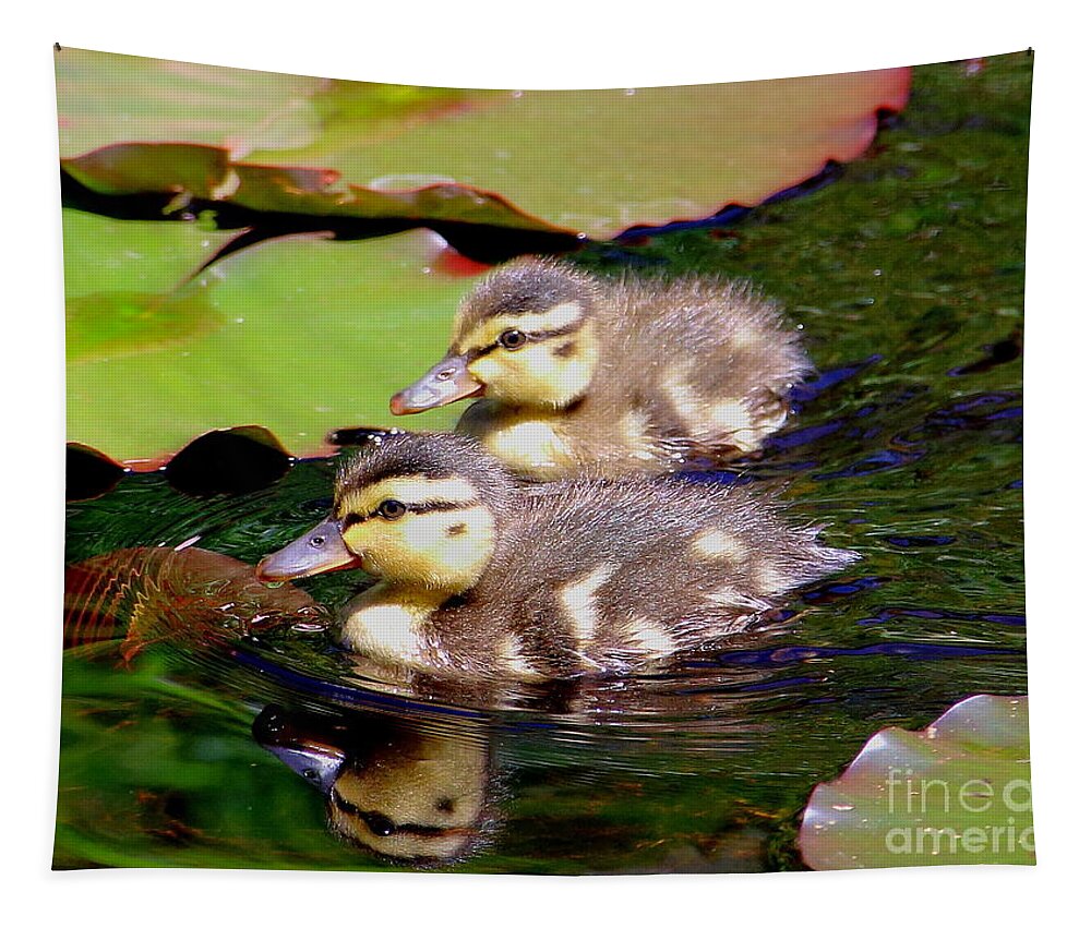 Ducklings Tapestry featuring the photograph Two Ducklings by Amanda Mohler