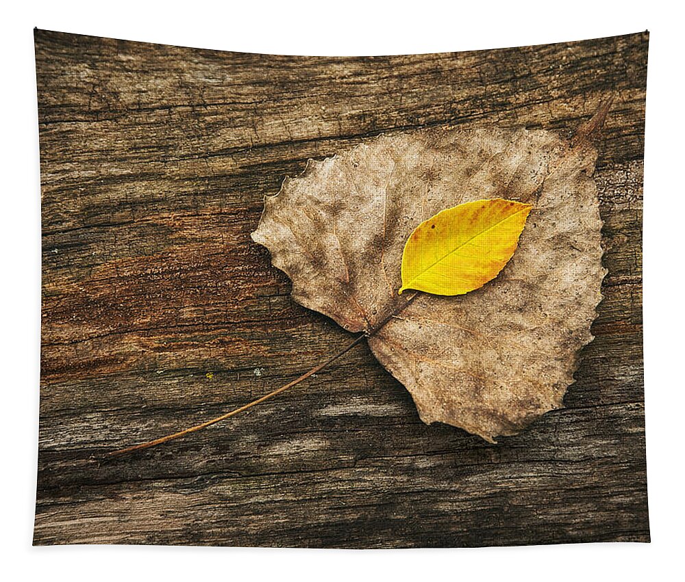 Leaf Tapestry featuring the photograph Two Leaves by Scott Norris