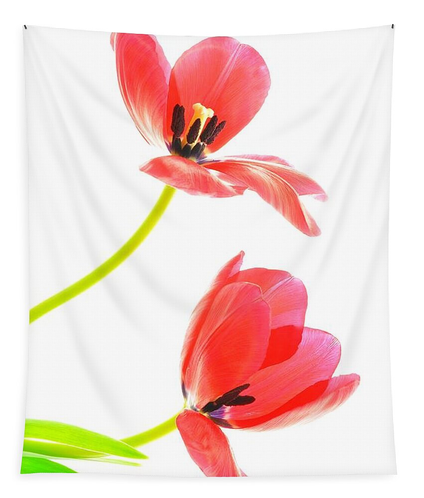 Flower Tapestry featuring the photograph Two Red Transparent Flowers by Phyllis Meinke