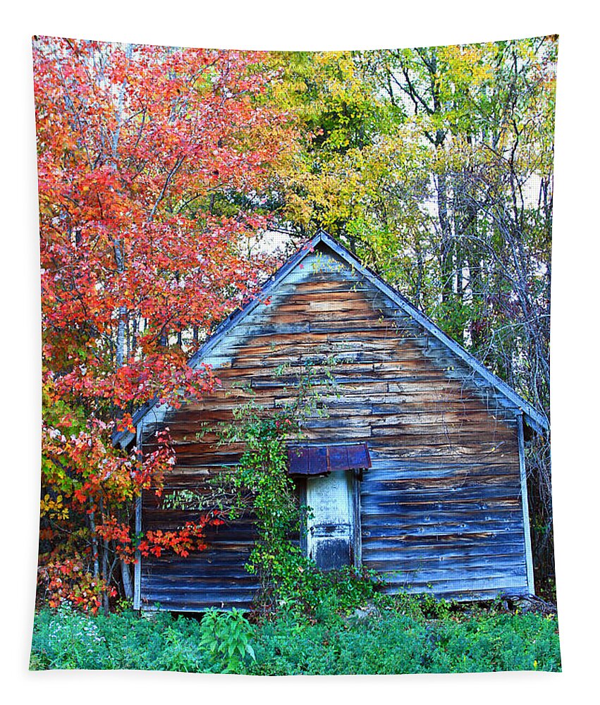 Houses Tapestry featuring the photograph Two Tone Shack by Jennifer Robin