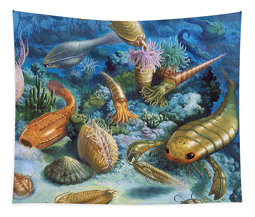 Illustration Tapestry featuring the photograph Underwater Life During The Paleozoic by Publiphoto