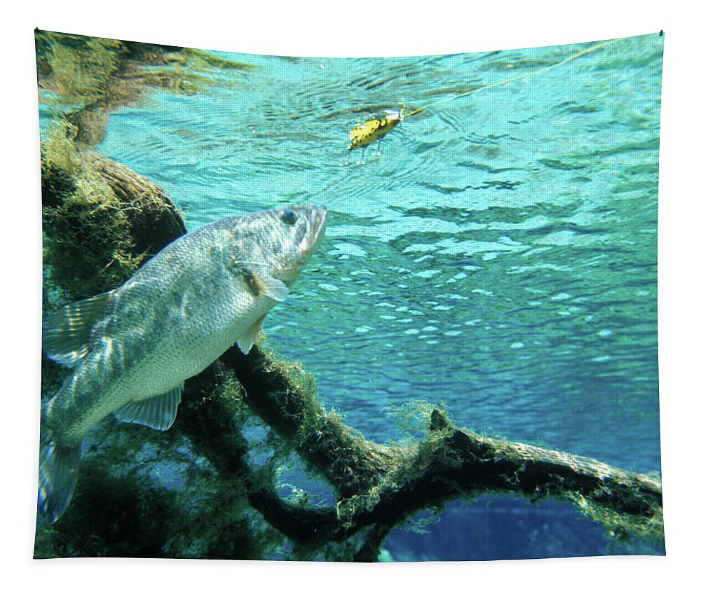 Underwater View Large Mouth Bass Tapestry by Animal Images