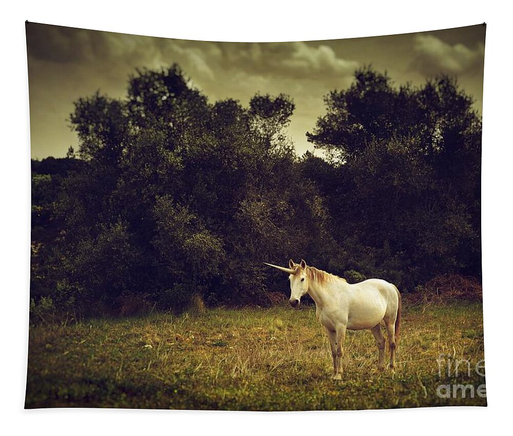 Unicorn Tapestry featuring the photograph Unicorn by Carlos Caetano