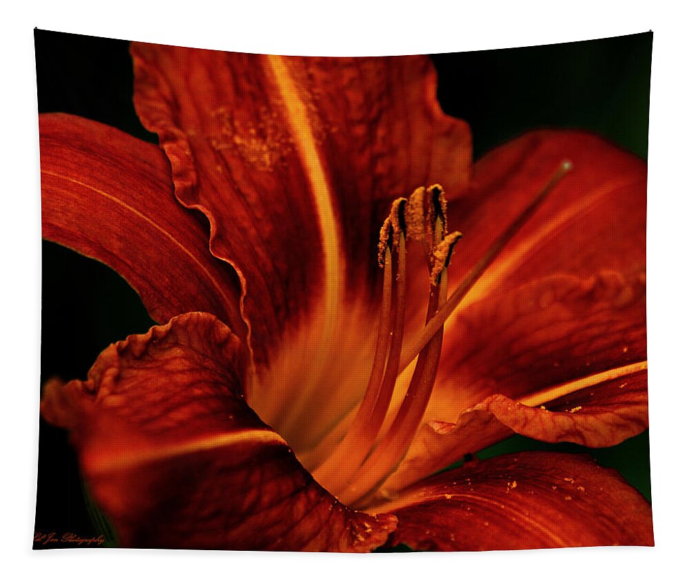 Lily Tapestry featuring the photograph Up Close and Personal by Jeanette C Landstrom