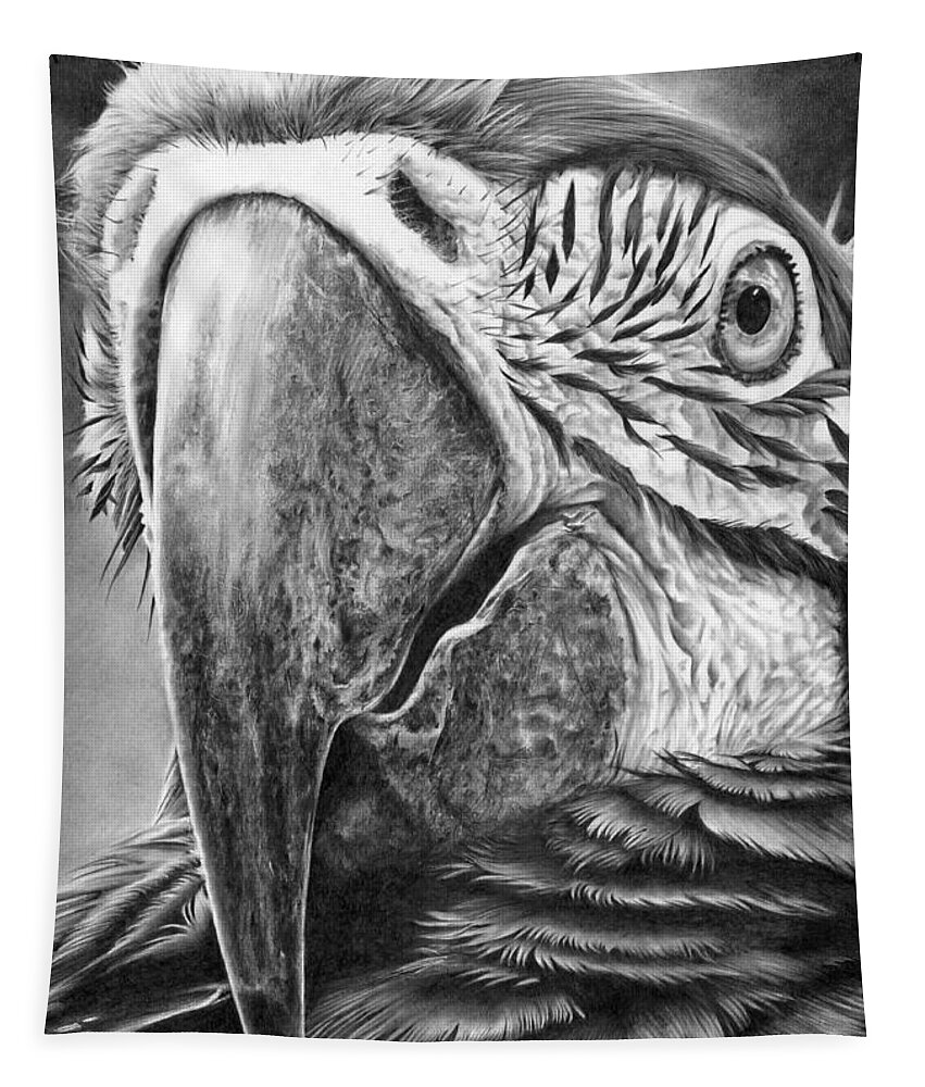 Parrot Tapestry featuring the drawing Up Close And Personal by Peter Williams
