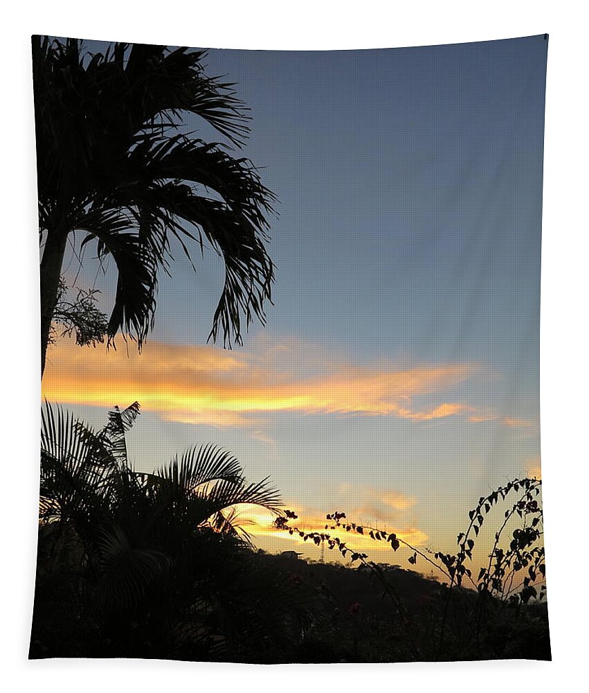 Palm Tree Tapestry featuring the photograph Vacation by Jessica Myscofski