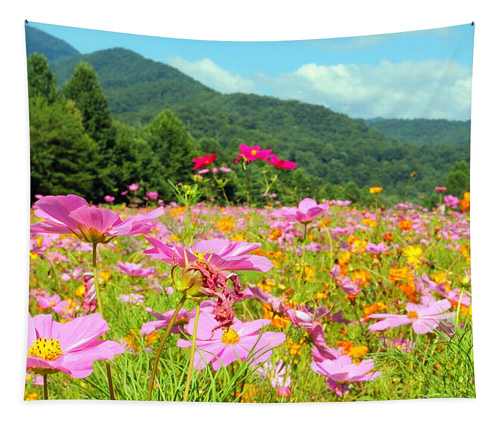 Scenic Tapestry featuring the photograph Valley of Color by Jennifer Robin