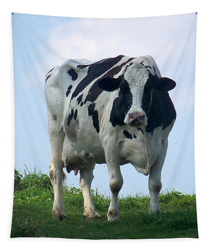 Cows Tapestry featuring the photograph Vermont Dairy Cow by Eunice Miller