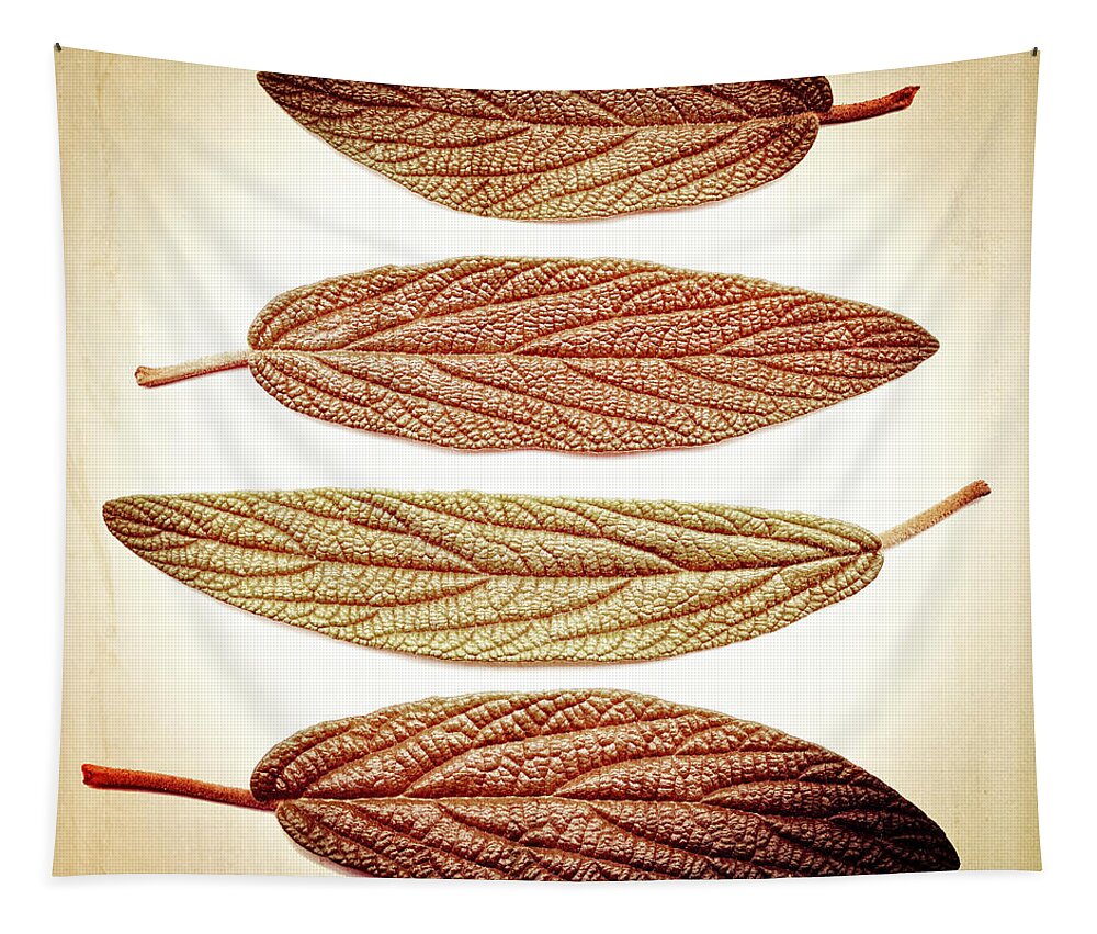 Viburnum Tapestry featuring the photograph Viburnum by Denise Beverly