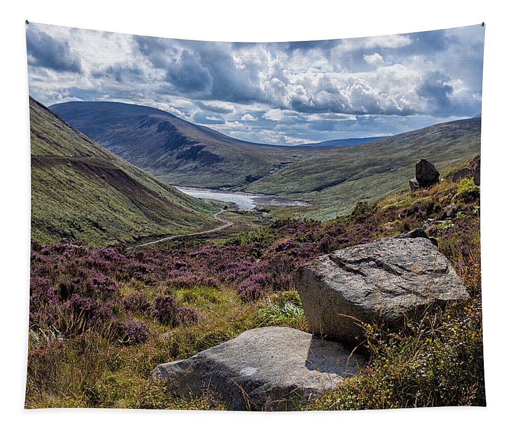 Silent Valley Tapestry featuring the photograph View from Ben Crom by Nigel R Bell