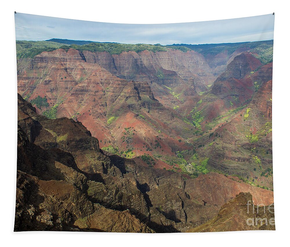 Waimea Tapestry featuring the photograph View Of Waimea Canyon by Suzanne Luft
