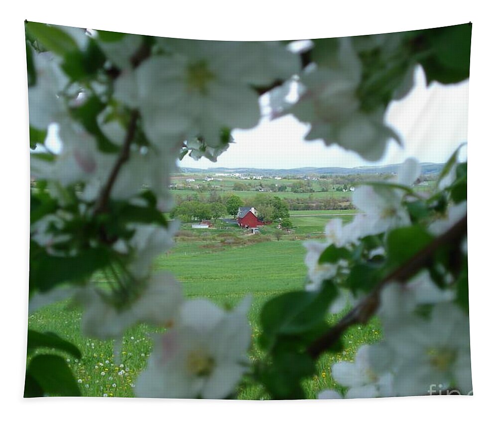 Apple Blossoms Tapestry featuring the photograph View Through Apple Blossoms by Patricia Overmoyer
