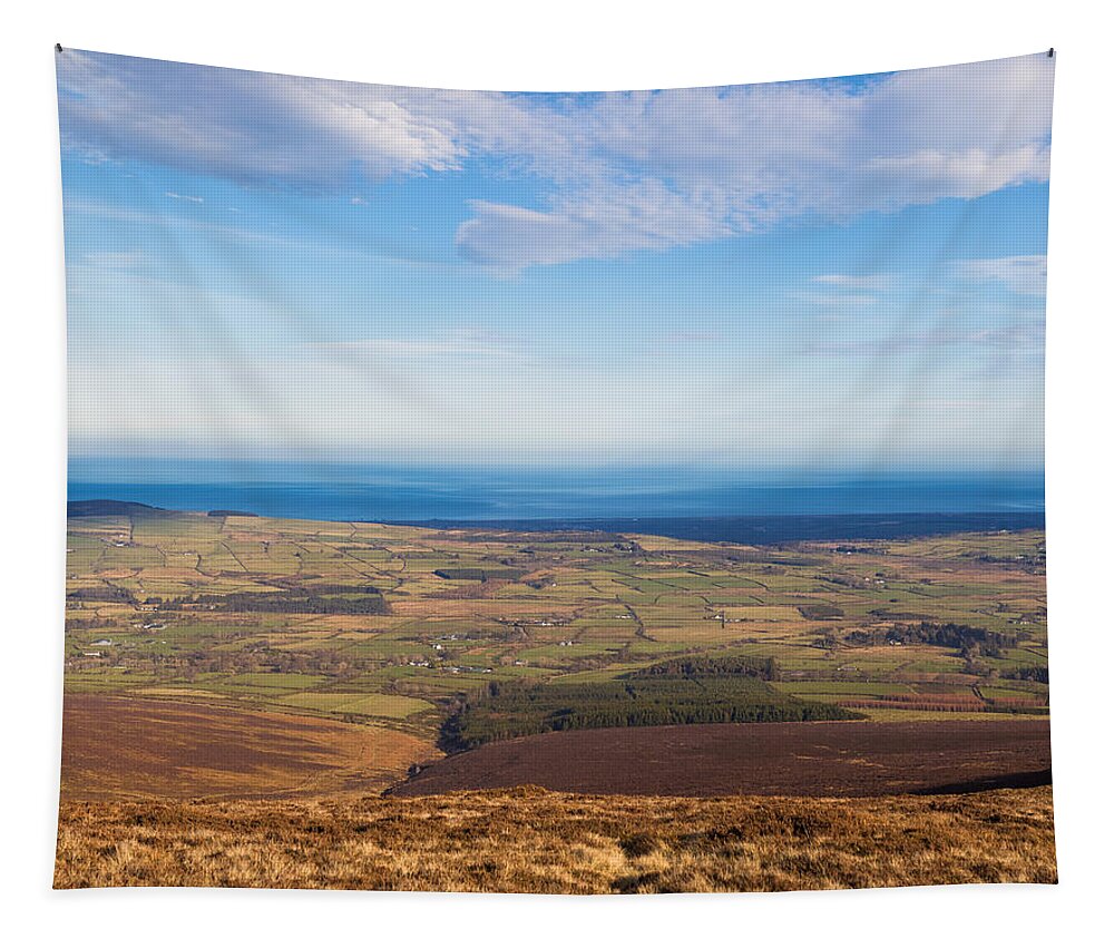 Blue Tapestry featuring the photograph View towards Greystones from Djouce Mountain by Semmick Photo