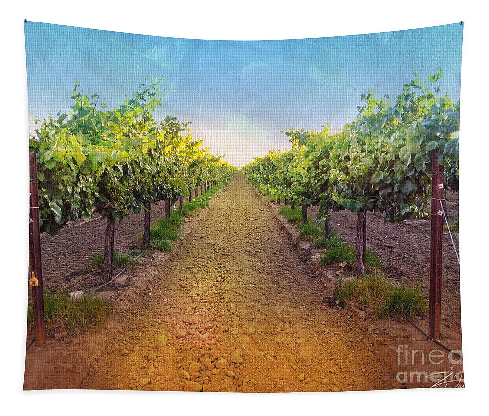 Vineyard Tapestry featuring the photograph Vineyard Road by Shari Warren