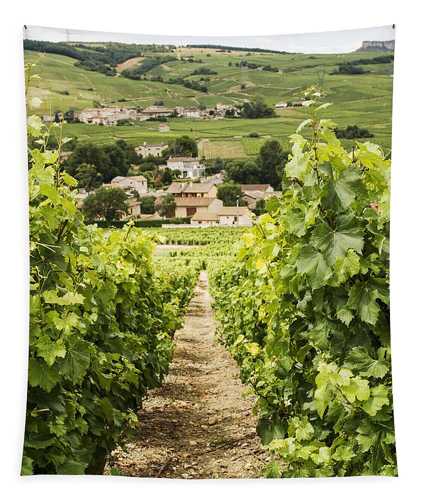 Vineyard Tapestry featuring the photograph Vineyard with view on Burgundy village by Patricia Hofmeester